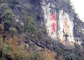 阳春天气预报15天查询